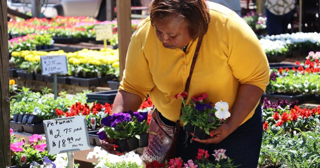 Pee Dee Plant and Flower Festival