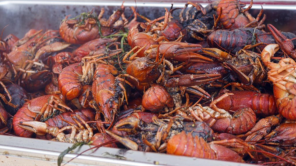 Vietnamese Martyrs Crawfish Festival