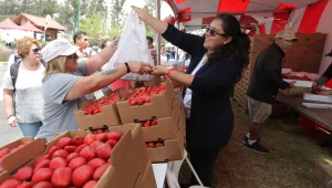 California Strawberry Festival