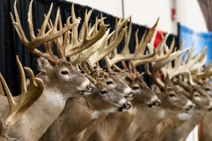 Ohio Deer and Turkey Expo