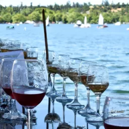Sip Into Summer Washington Lake Park Wine Festival
