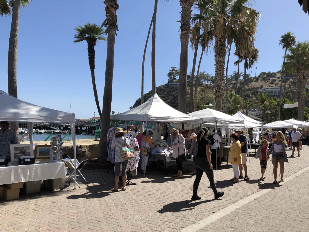 Catalina Festival of Art