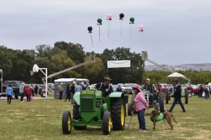 Dairyville Orchard Festival