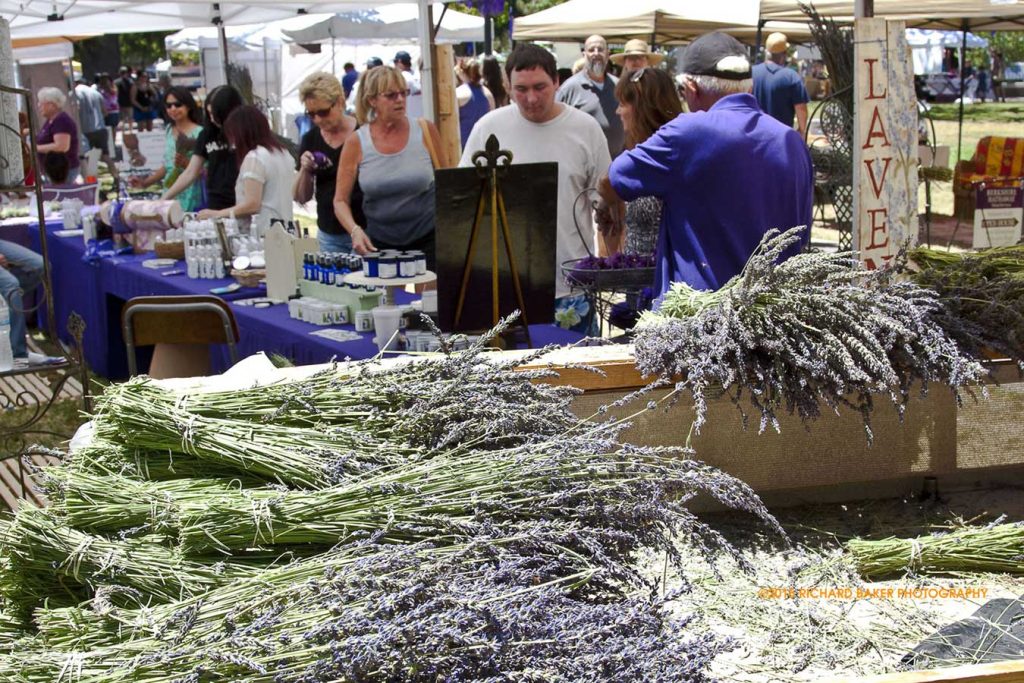 Paso Robles Olive & Lavender Festival