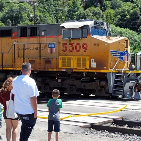 Dunsmuir Railroad Days