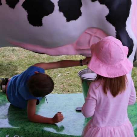 Vermont Dairy Festival