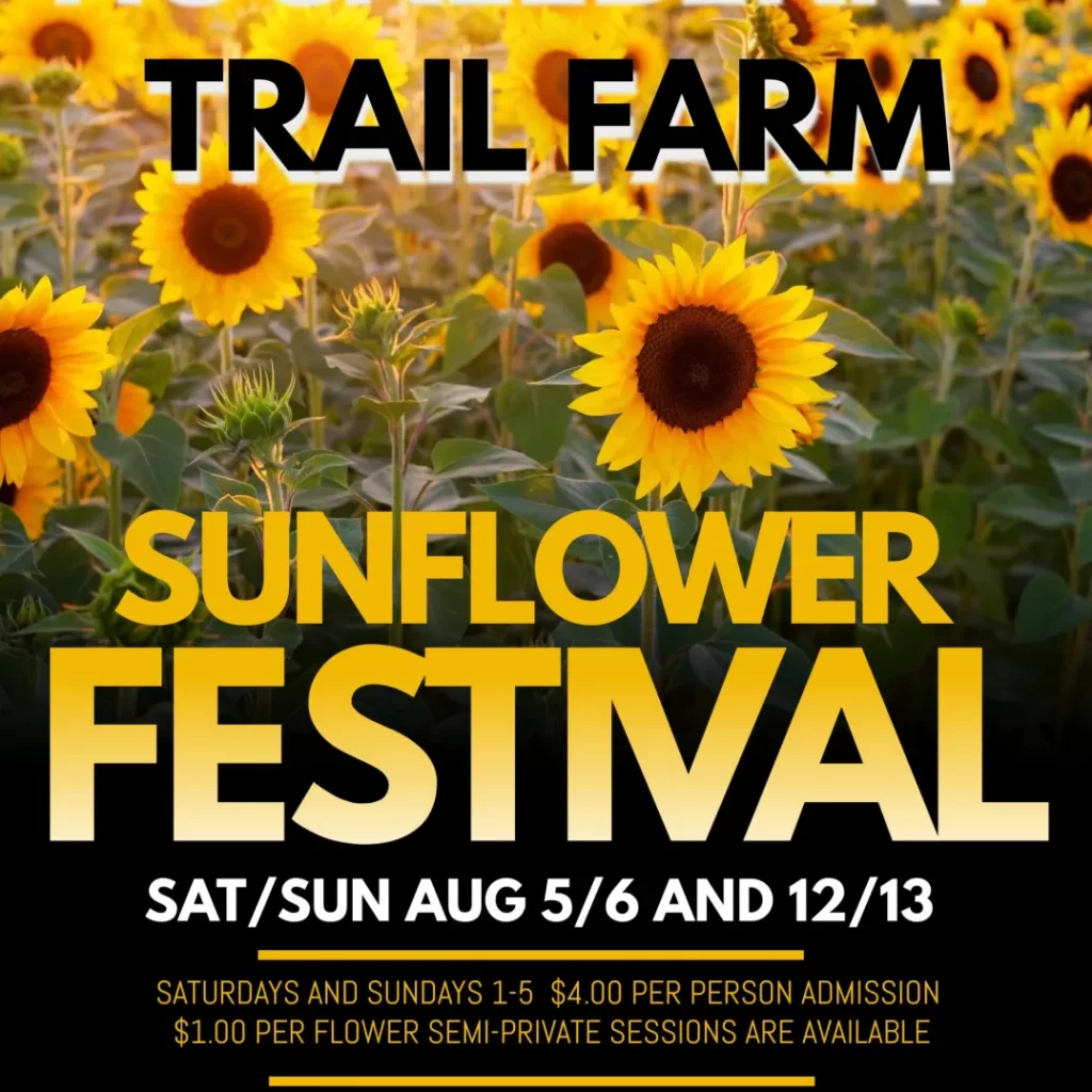 Sunflower Hippie Festival at Darnell Farms