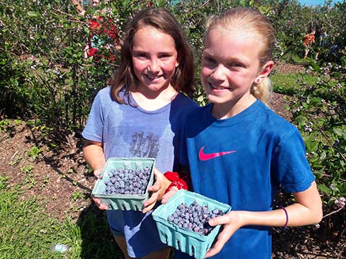 Blueberry Bash at Terhune Orchards