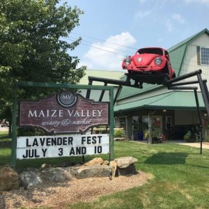 Maize Valley Winery and Craft Brewery Lavender Festival