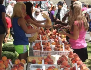 NC Peach Festival