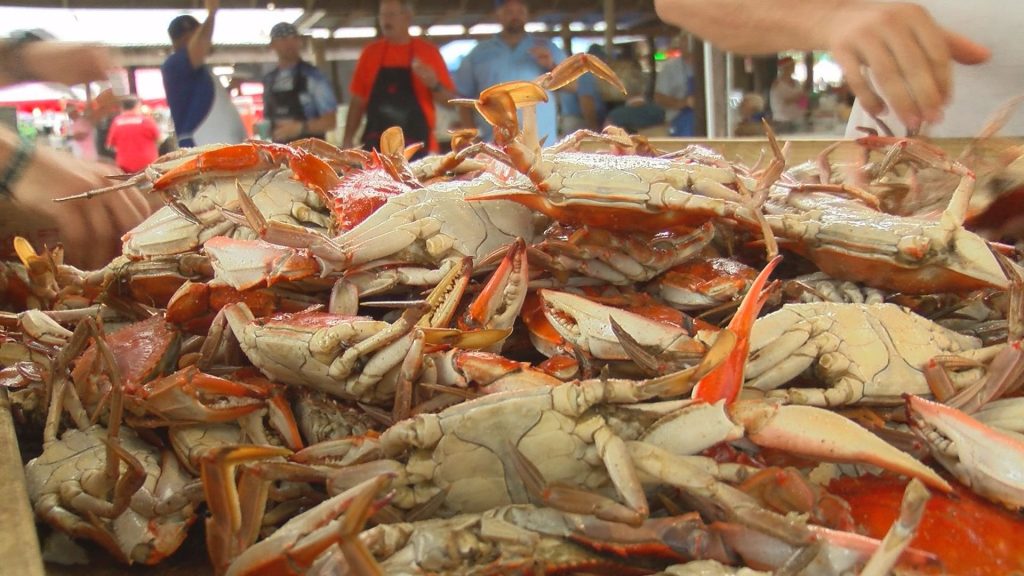 Our Lady of the Gulf Crab Fest