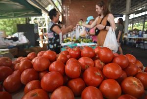 Top Tomato Festival