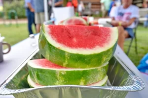 Watermelon Crawl Festival