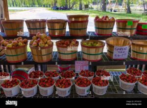 Apple Fest at Darnell Farms