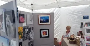 Arts Off Main Festival