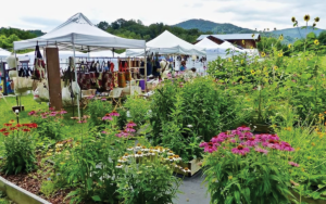 Blue Ridge Heritage Weekend Arts and Craft Festival