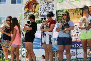 Dog Days of Summer Canine Festival