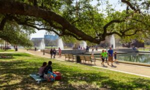 Houston Community Picnic