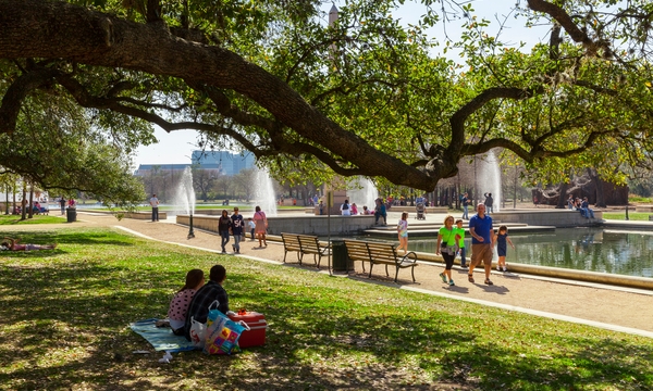 Houston Community Picnic