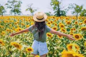 Sunflower Festival at Argos Farm