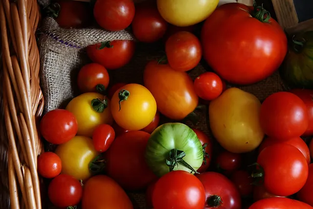 Tomato Festival