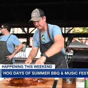 Hog Days of Summer BBQ and Music Festival