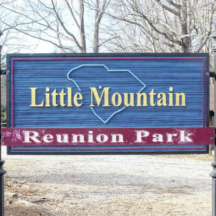Little Mountain Reunion