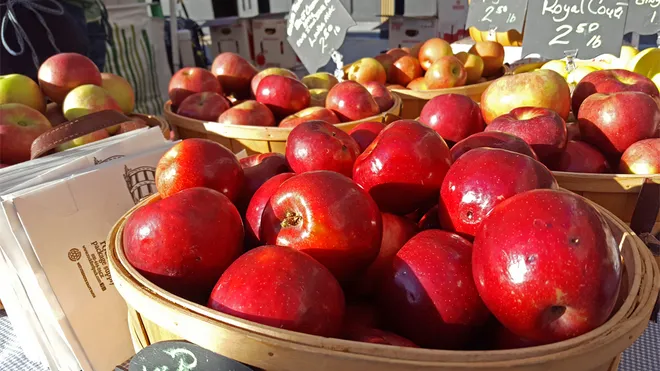 Applefest at Living History Farms