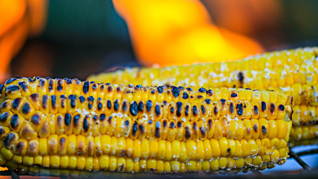 Fall Corn Festival