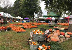 Warm Glow Candle Company Fall Festival