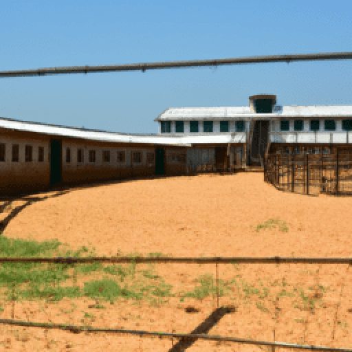 Angola Prison Rodeo 2024 in Louisiana, St. Francisville, USA