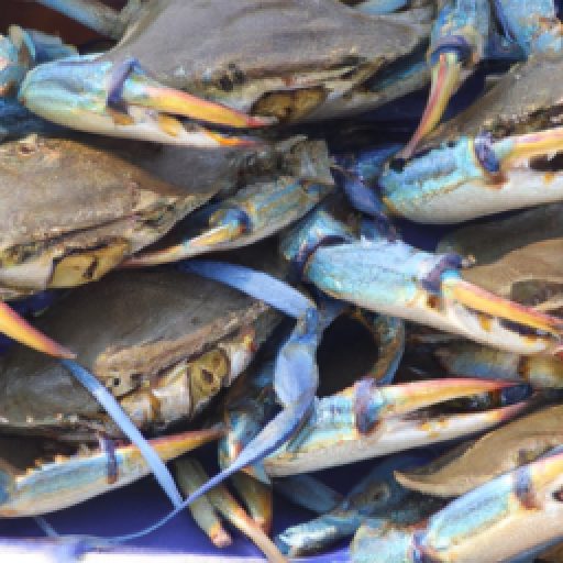 Annual Blue Crab Festival 2024 & 2025 in Little River, South Carolina