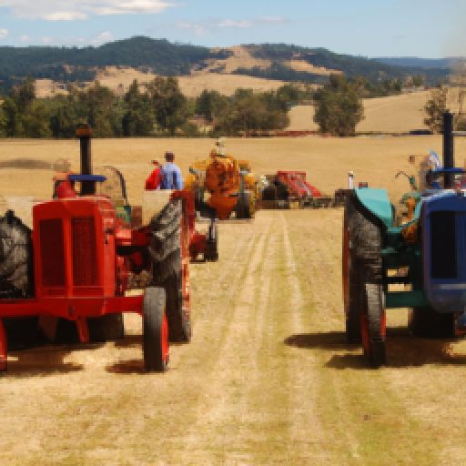 James Valley Threshing & Tractor Club Show 2024 in Andover, South