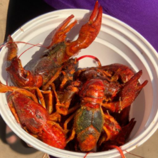 PorterLeath Rajun Cajun Crawfish Festival 2024 & 2025 in Memphis